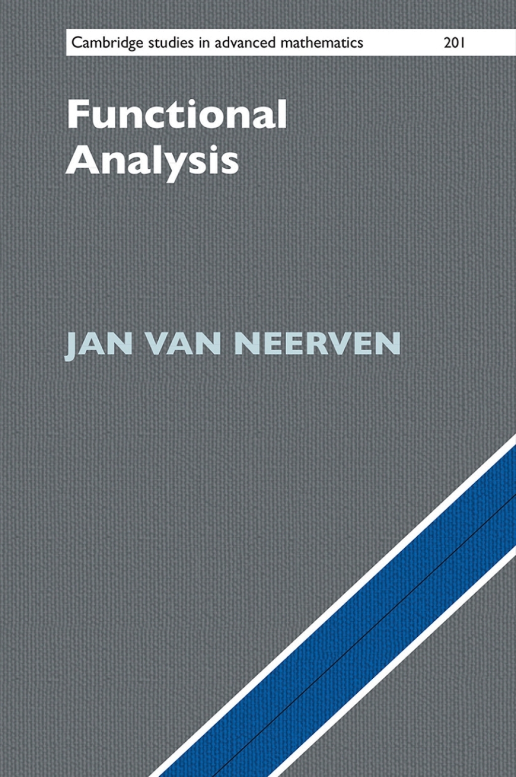 Functional Analysis (eBook)