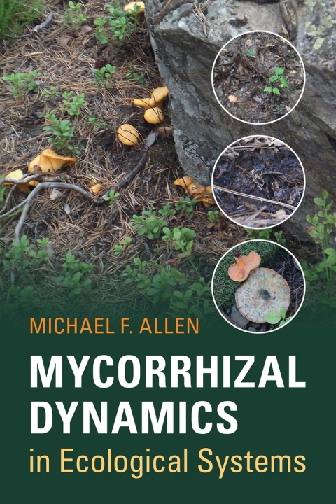 Cover image for book Mycorrhizal Dynamics in Ecological Systems