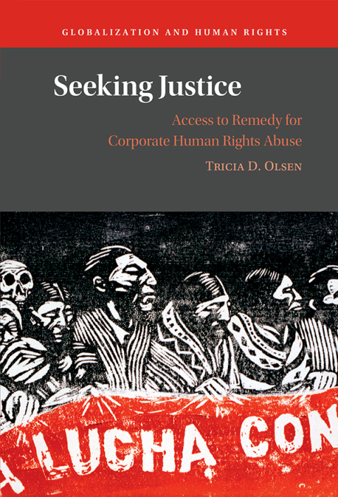 Cover image for book Seeking Justice