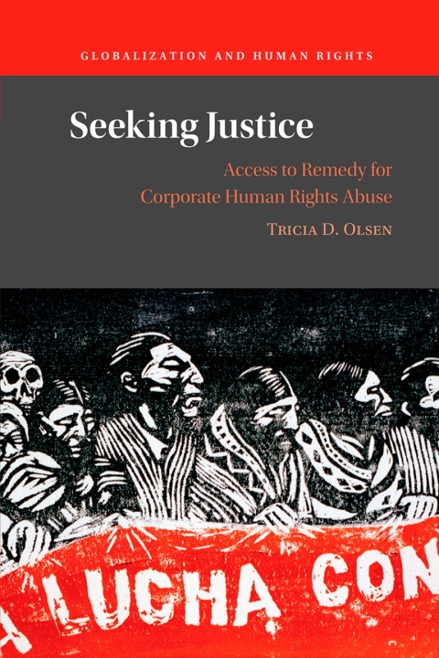 Cover image for book Seeking Justice