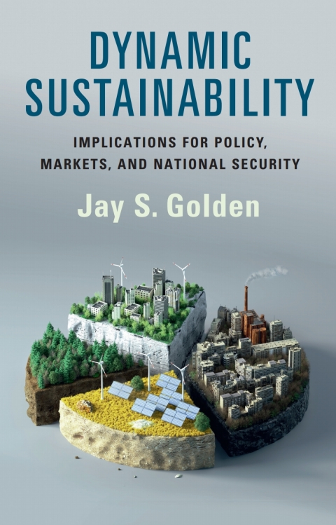 Cover image for book Dynamic Sustainability