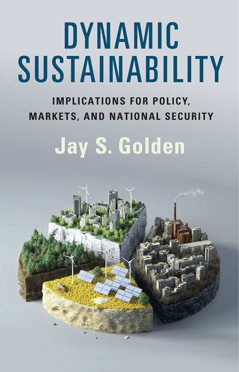 Cover image for book Dynamic Sustainability