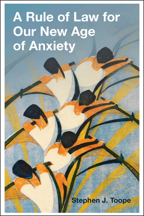 Cover image for book A Rule of Law for Our New Age of Anxiety