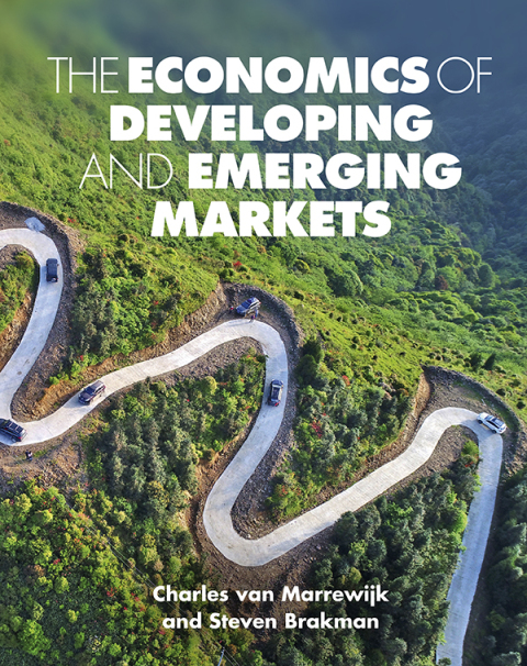 Cover image for book The Economics of Developing and Emerging Markets