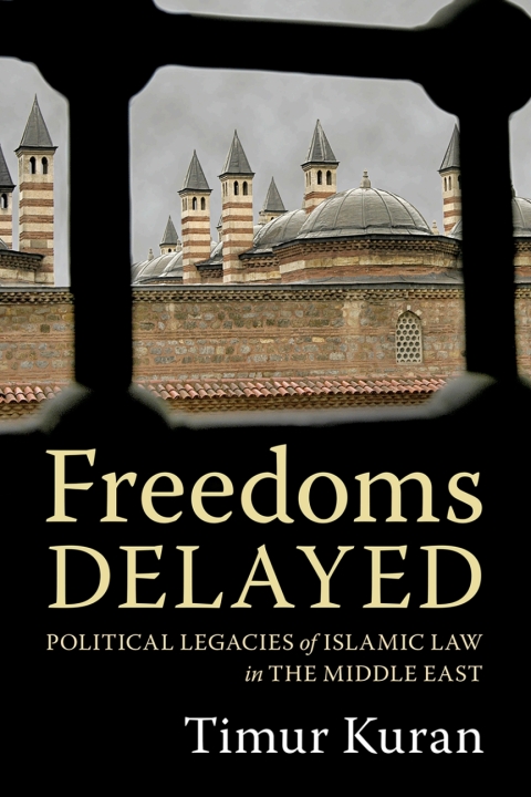 Cover image for book Freedoms Delayed