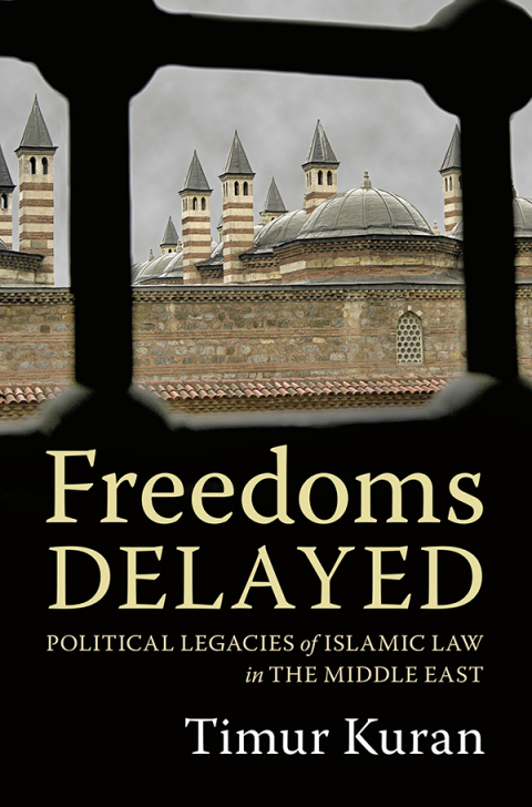 Cover image for book Freedoms Delayed