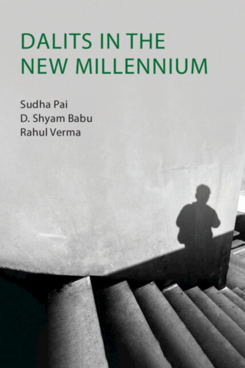 Cover image for book Dalits in the New Millennium