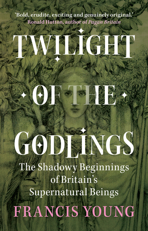 Cover image for book Twilight of the Godlings