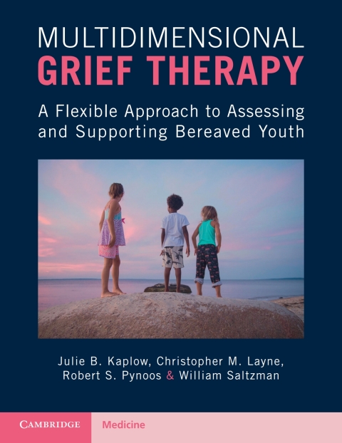 Cover image for book Multidimensional Grief Therapy