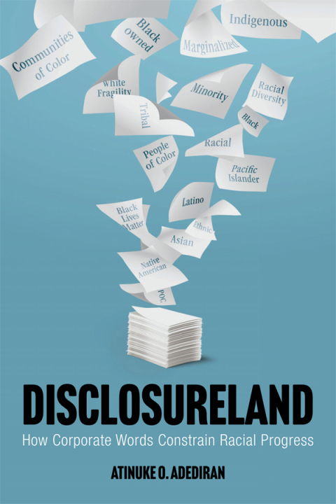 Cover image for book Disclosureland