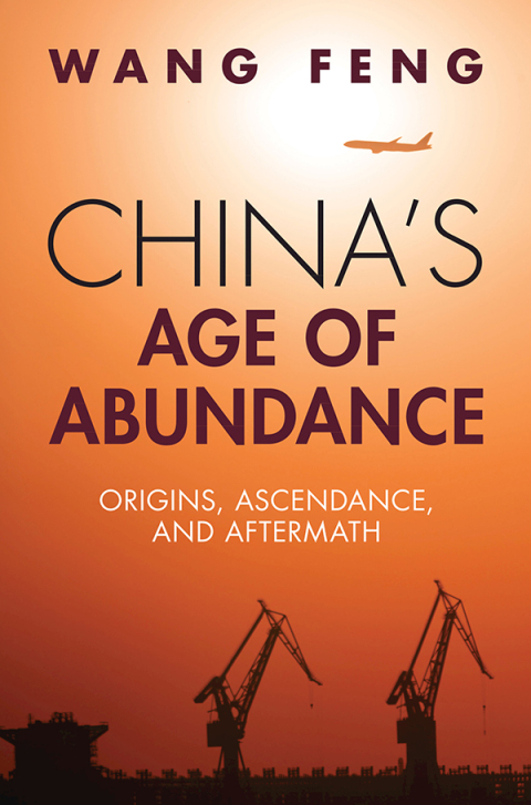 Cover image for book China's Age of Abundance