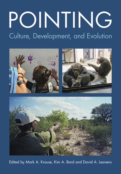 Cover image for book Pointing