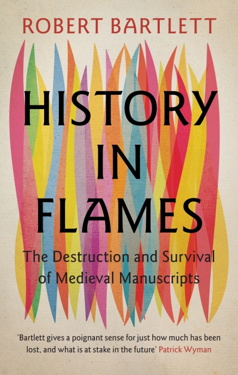 Cover image for book History in Flames