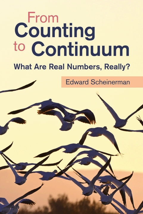 Cover image for book From Counting to Continuum