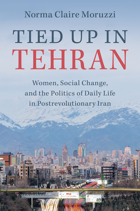 Cover image for book Tied Up in Tehran