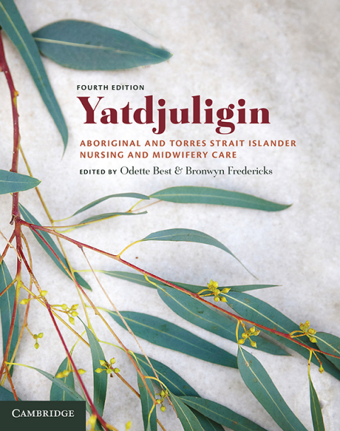 Cover image for book Yatdjuligin