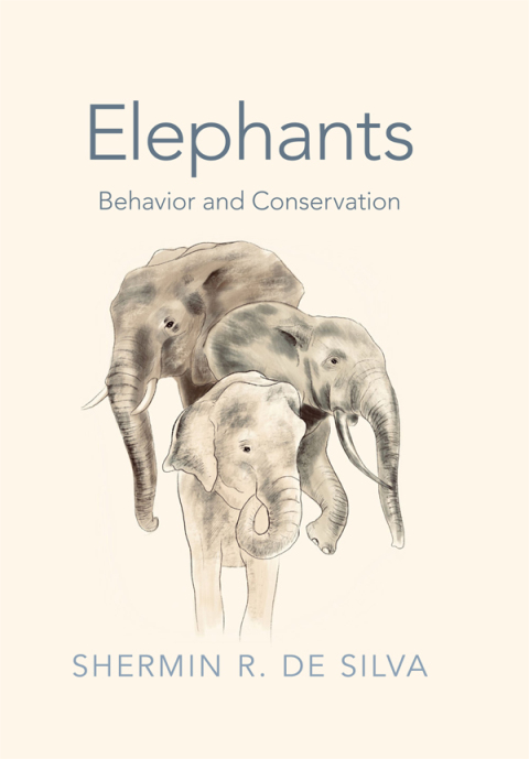 Cover image for book Elephants: Behavior and Conservation