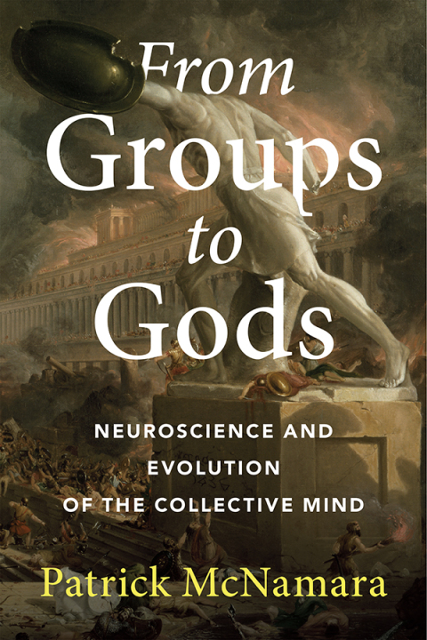Cover image for book From Groups to Gods