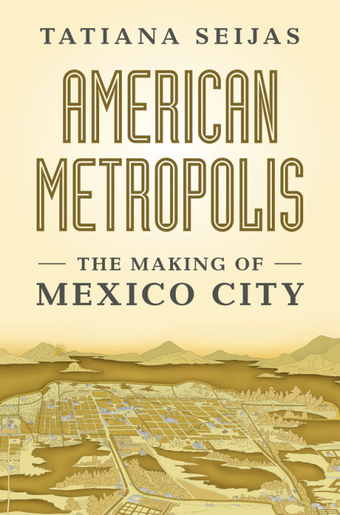 Cover image for book American Metropolis
