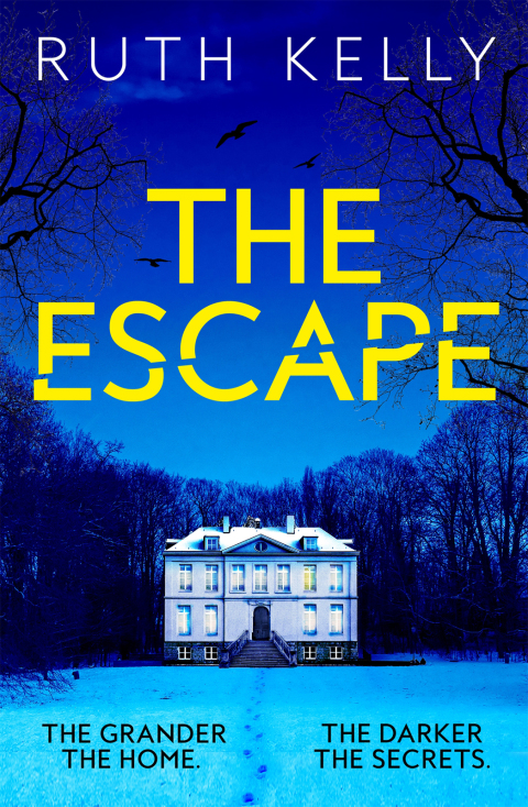 Cover image for book The Escape