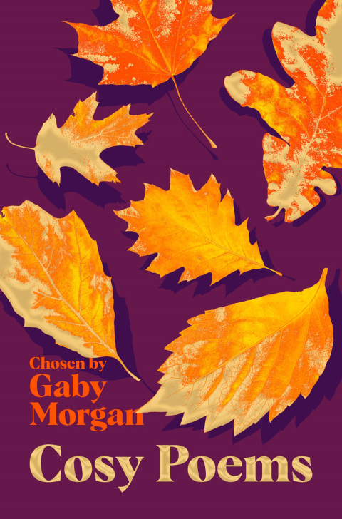 Cover image for book Cosy Poems
