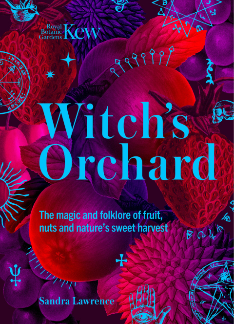 Cover image for book Witch's Orchard