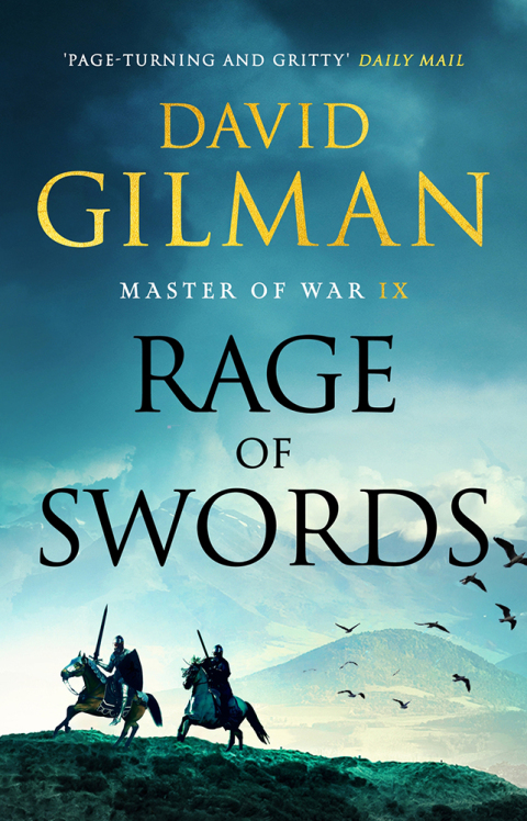 Cover image for book Rage of Swords