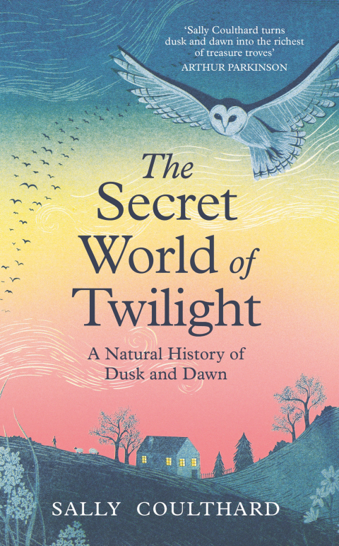Cover image for book The Secret World of Twilight