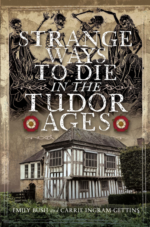 Cover image for book Strange Ways To Die in the Tudor Ages