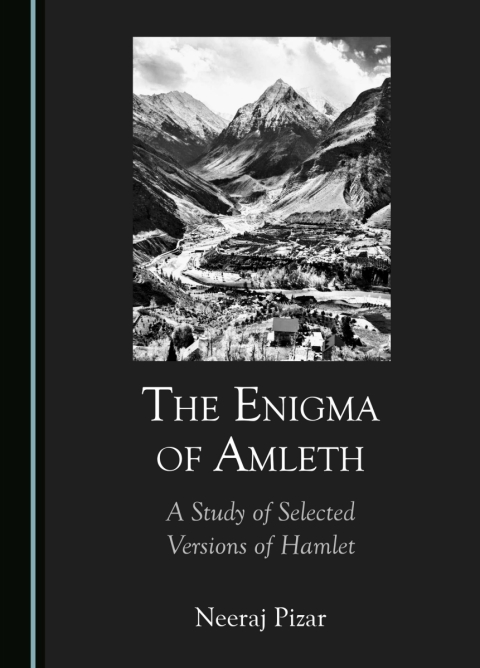 Cover image for book The Enigma of Amleth