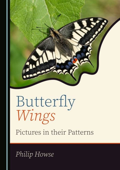 Cover image for book Butterfly Wings