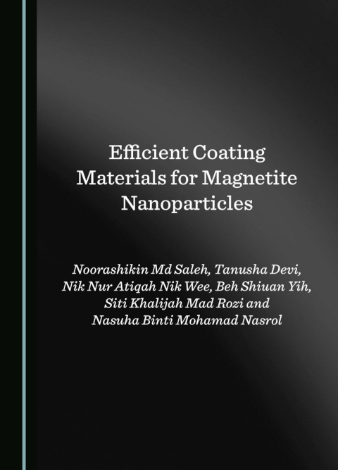Cover image for book Efficient Coating Materials for Magnetite Nanoparticles