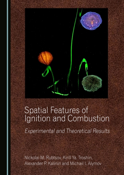 Cover image for book Spatial Features of Ignition and Combustion