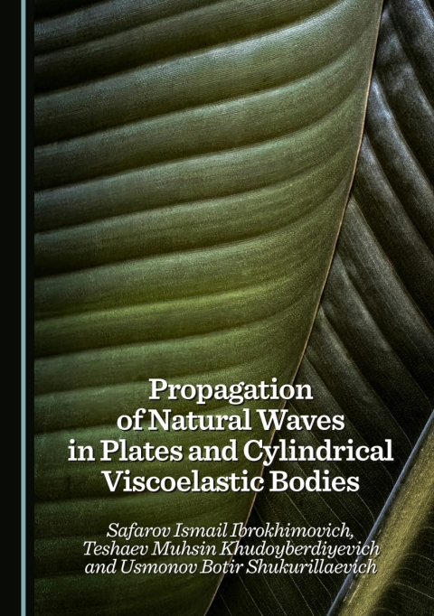 Cover image for book Propagation of Natural Waves in Plates and Cylindrical Viscoelastic Bodies