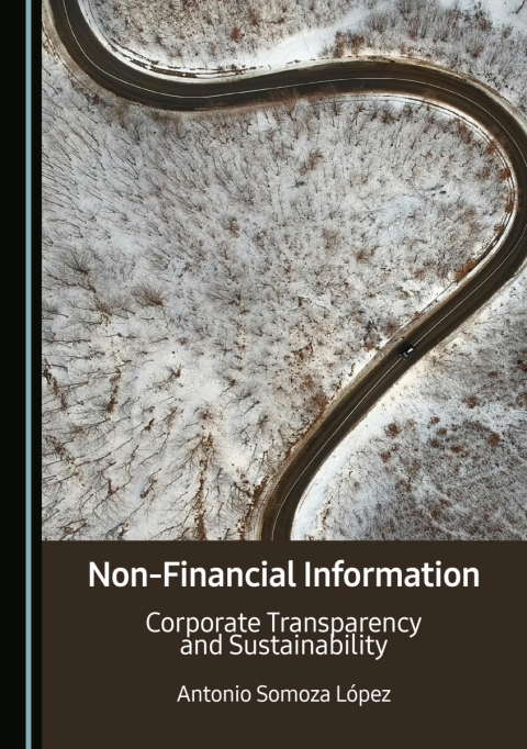 Cover image for book Non-Financial Information