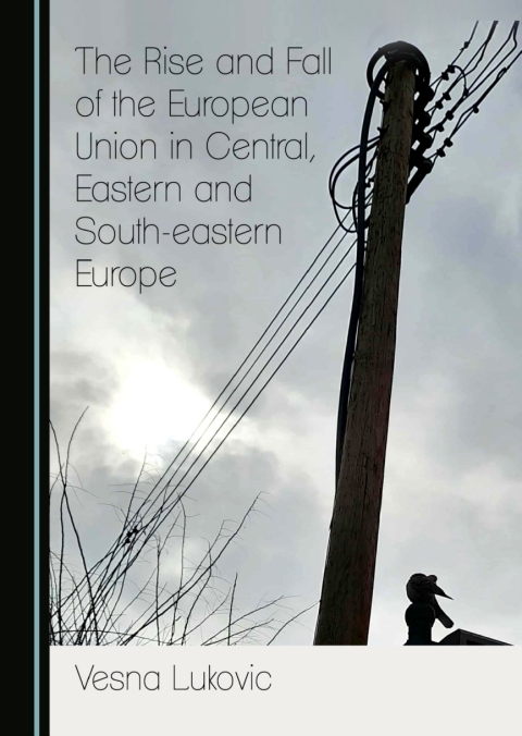 Cover image for book The Rise and Fall of the European Union in Central, Eastern and South-eastern Europe