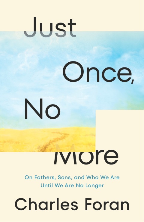 Cover image for book Just Once, No More