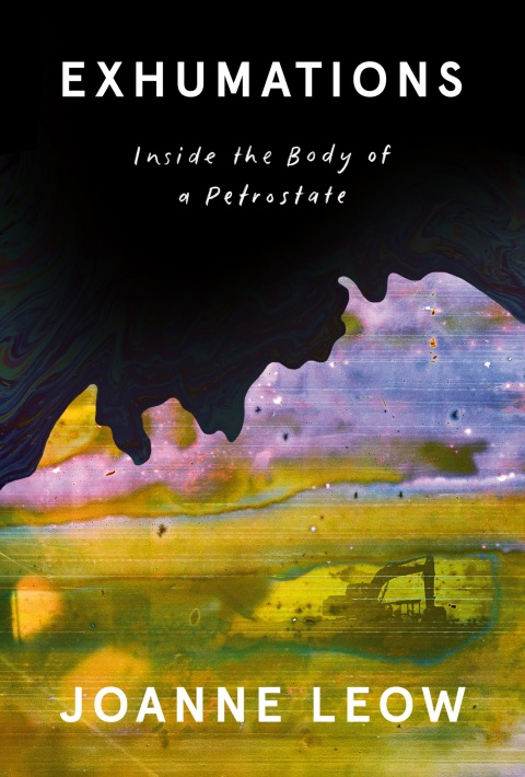 Cover image for book Exhumations