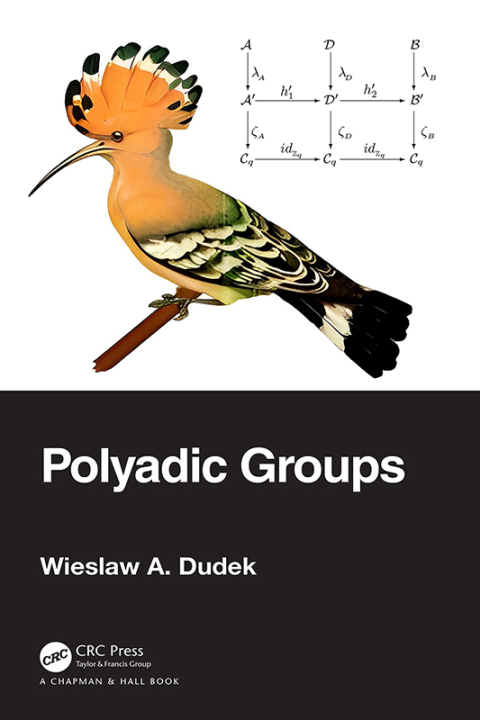 Cover image for book Polyadic Groups
