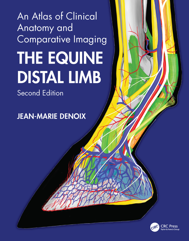 The Equine Distal Limb