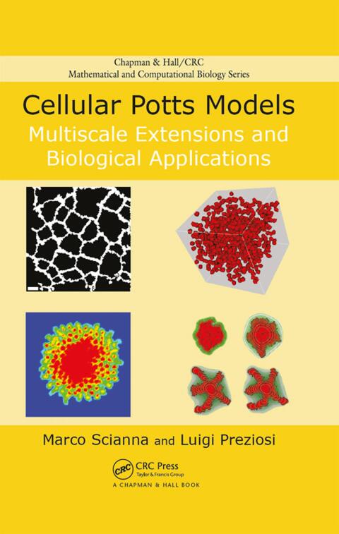 Cover image for book Cellular Potts Models