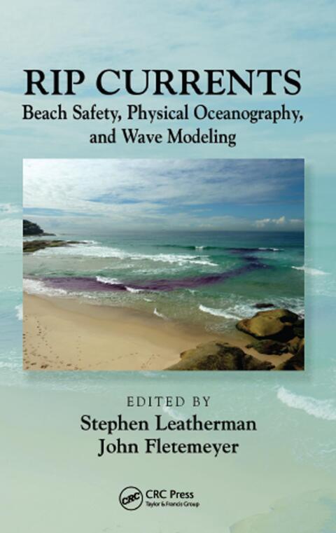 Cover image for book Rip Currents