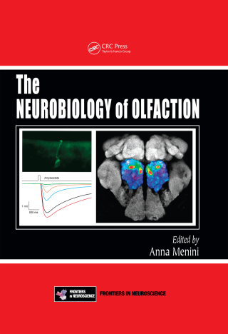 The Neurobiology of Olfaction
