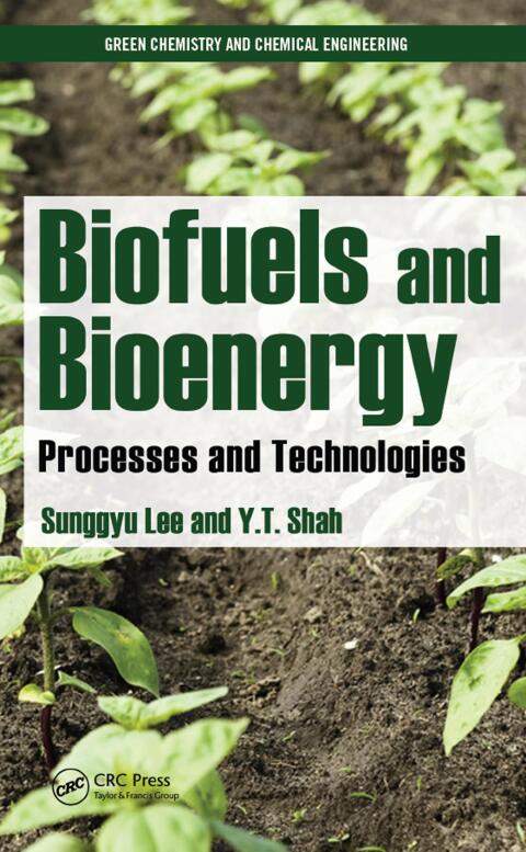 Cover image for book Biofuels and Bioenergy