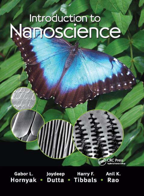 Introduction to Nanoscience 