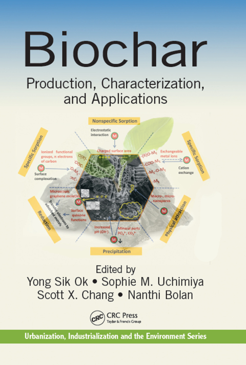 Cover image for book Biochar