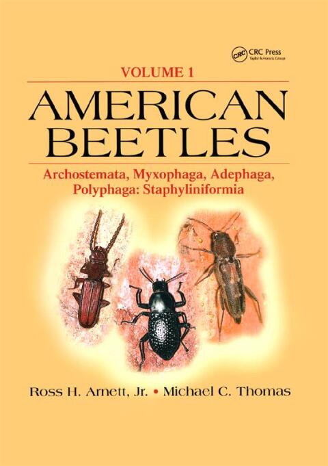 Cover image for book American Beetles, Volume I