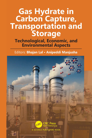Gas Hydrate in Carbon Capture, Transportation and Storage