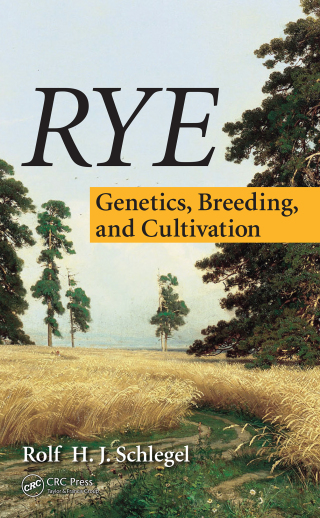 Rye