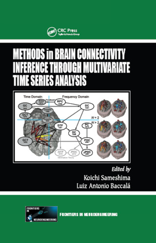 Methods in Brain Connectivity Inference through Multivariate Time Series Analysis